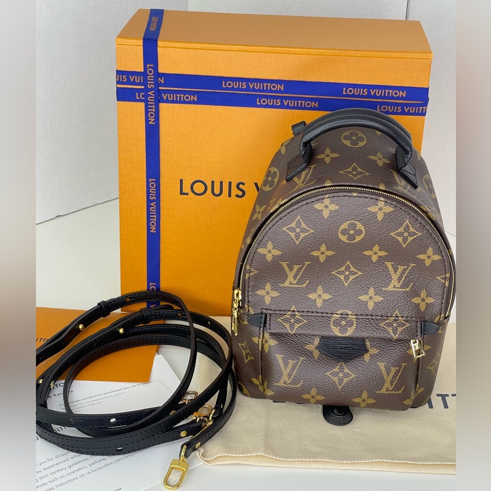 Louis Vuitton Palm Spring Monogram Mini Backpack